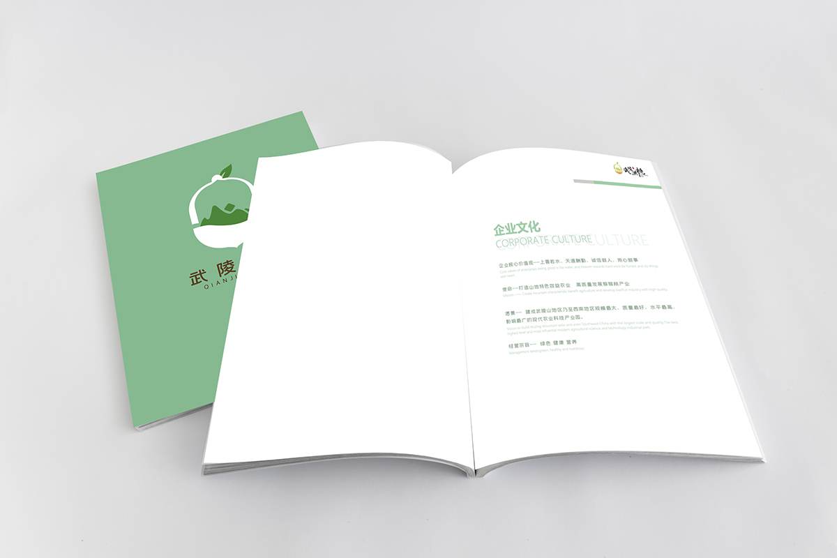 苏州公司画册设计制作