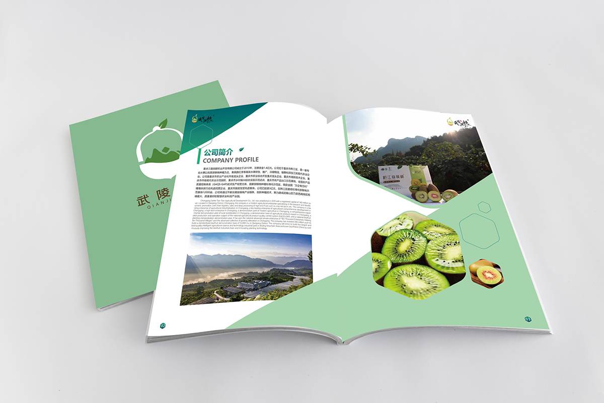 苏州画册设计制作